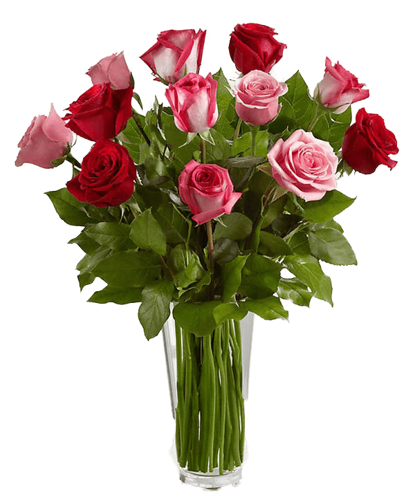 Pink & Red Long Stem Roses