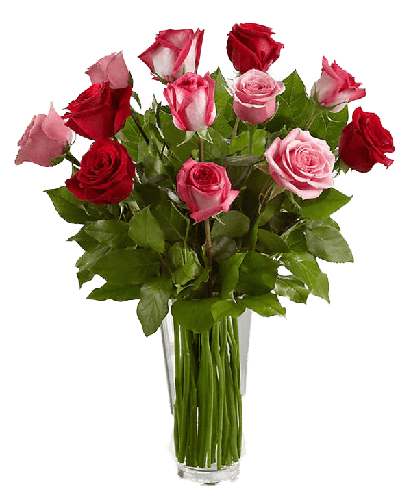 Pink & Red Long Stem Roses, Bouquet of Roses, Hoover Fisher Florist, Local Florist, Best Roses