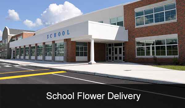 Flower Delivery To Schools, Flower Delivery To Colleges