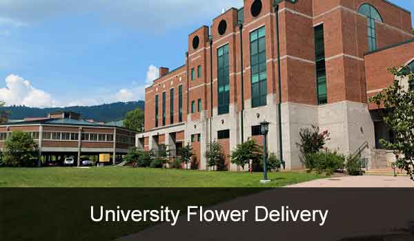 Flower Delivery To Universities, Flower Delivery To Colleges