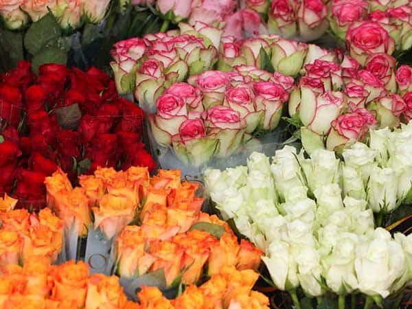 Florist Burtonsville MD, Same Day Flower Delivery