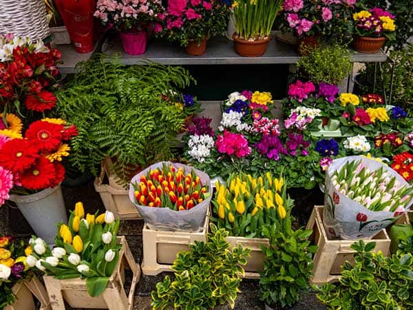 Fairfax Medical Center, Same Day Flower Delivery