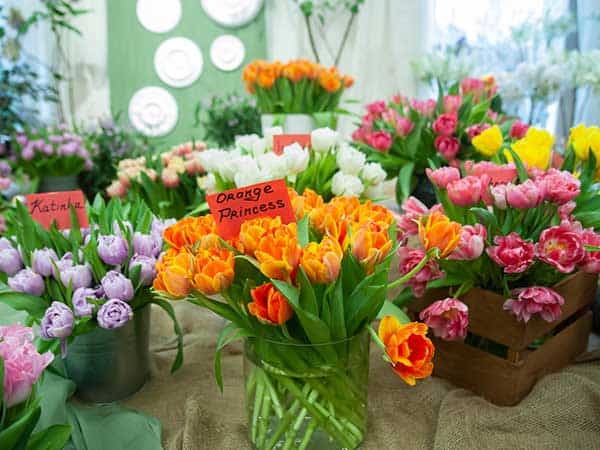 Hospital Flower Delivery, Same Day Hospital Flower Delivery