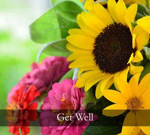 Get Well Flowers, Hospital Flower Delivery