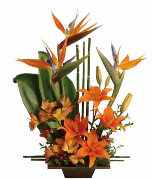 Tropical Flowers, Tropical Flower Bouquet