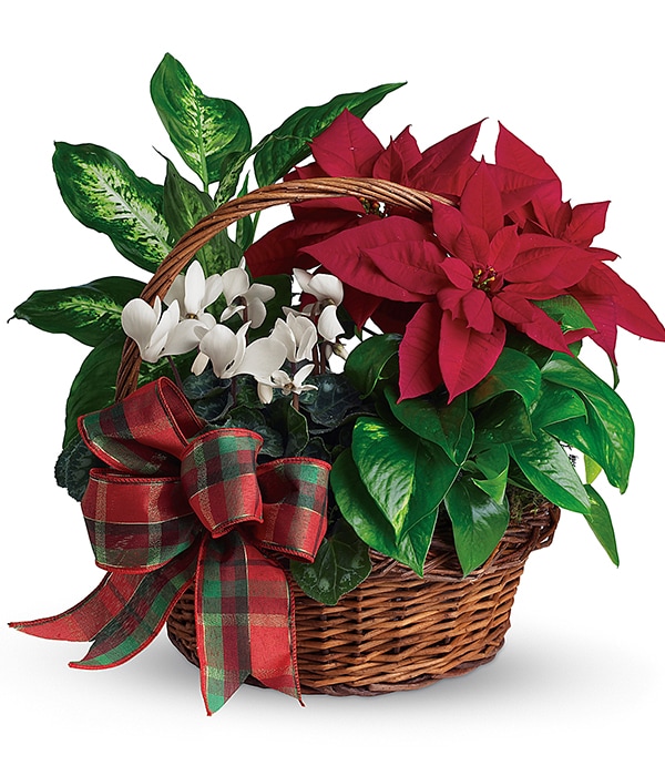 Home For The Holidays, Flowering Basket