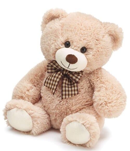 Teddy Bear, Plush Animals