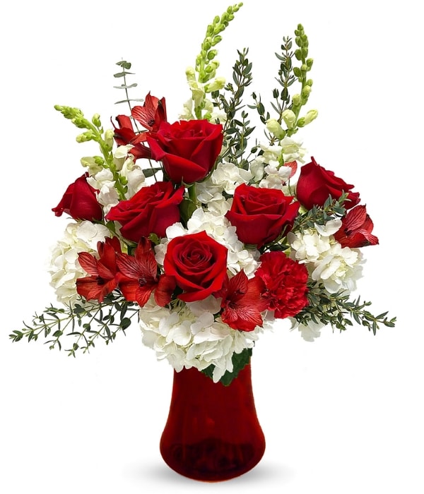 Valentines Day Flower Arrangement, Red Roses, White Full Bloom Hydrangea