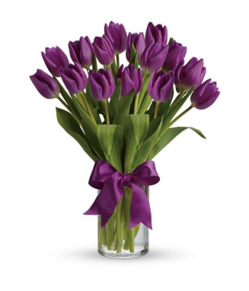 Purple Tulips