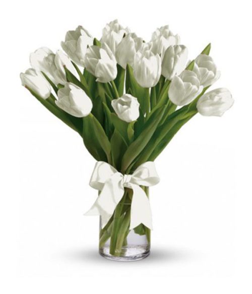 White Tulips