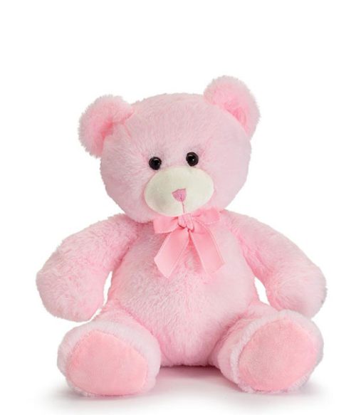 Plush Stuffed Animals, Pink Teddy Bear