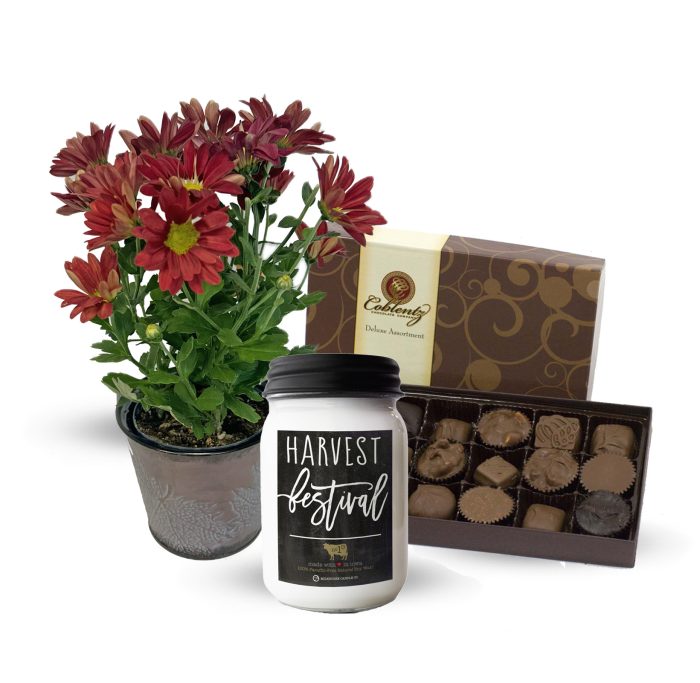 Cozy Fall Bundle